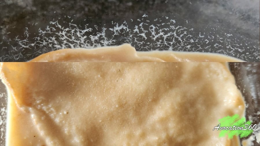 How to Culture Banana Worms Live Fish Food